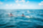 visite dauphins kayak Maurice