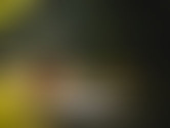 Esfera deja de tener operativa como comercializadora de River Patrimonio