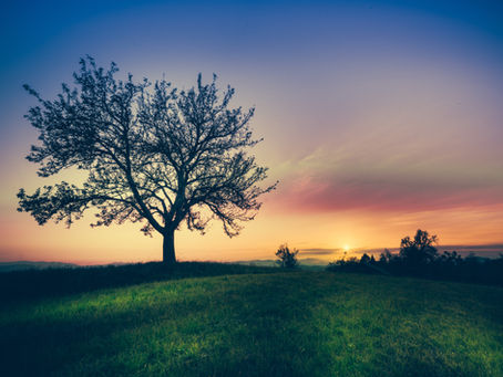 Understanding Grief in the Context of Chronic Pain and Illness
