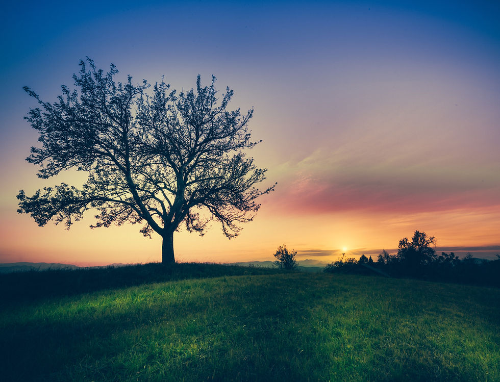 Image by 🇸🇮 Janko Ferlič