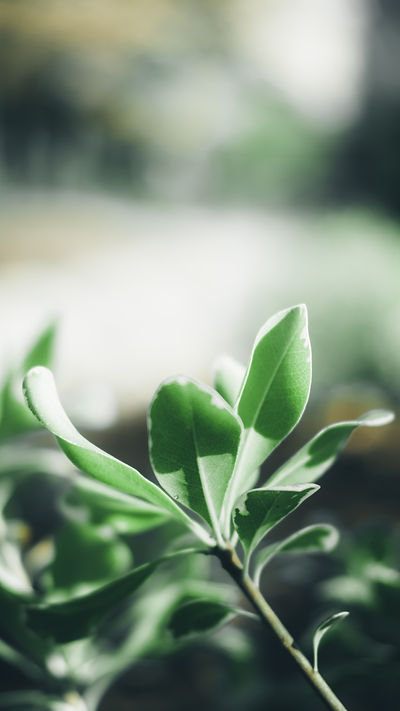 Image by Luke van Zyl