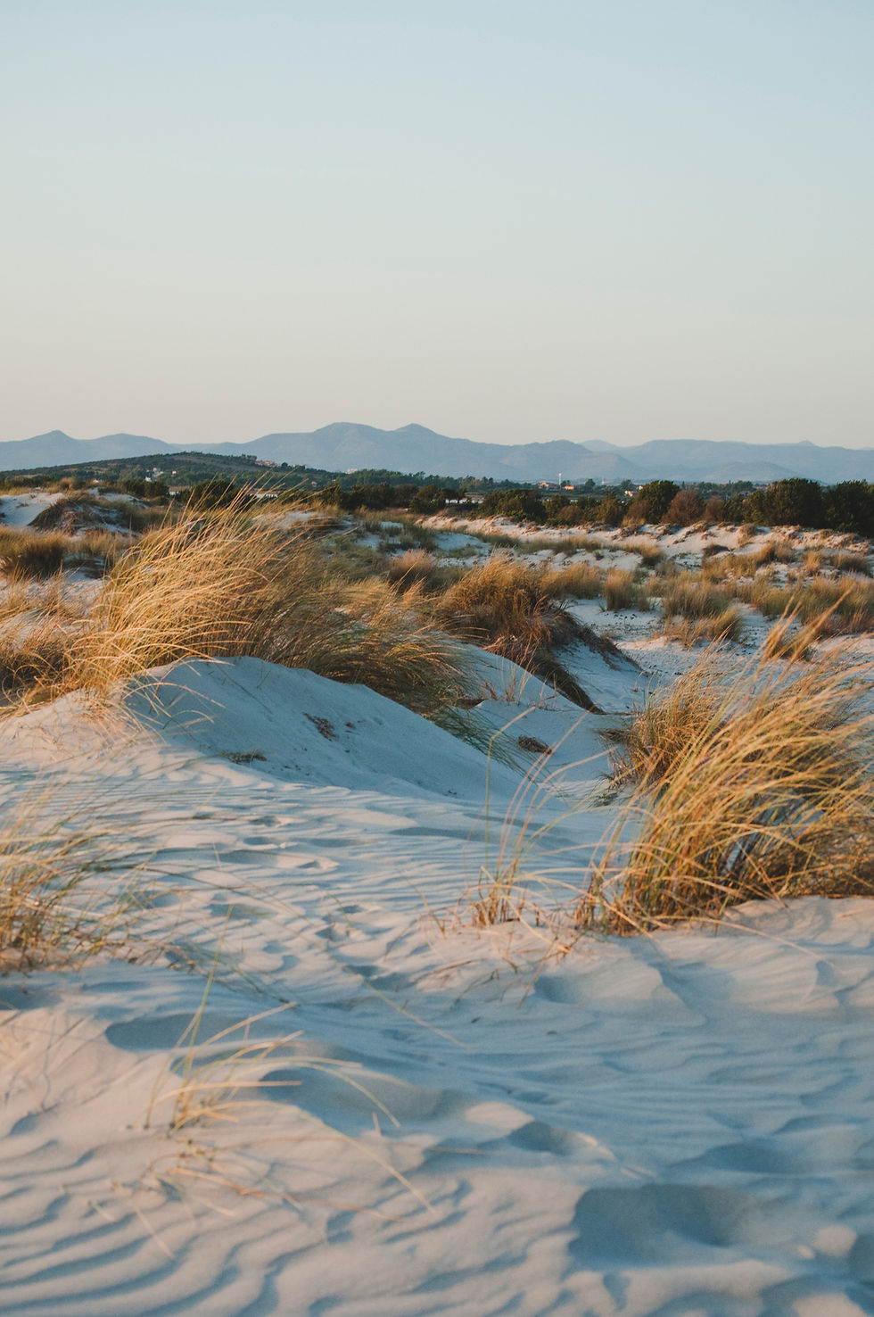 sand dunes sardinia - Baia Chia