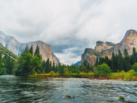 Help protect Mother Earth against greed and devastation!
