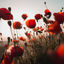 Writer: Peel Funeral Home