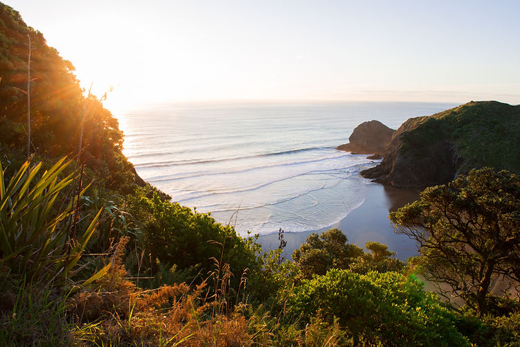 Image by Kyle Myburgh