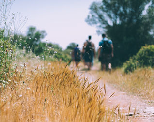 Le chemin de la joie