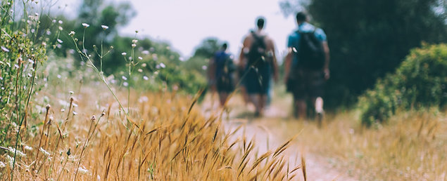 Wander-Coaching "Natur-Entdeckung"