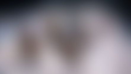 Hybride Trainingssysteme