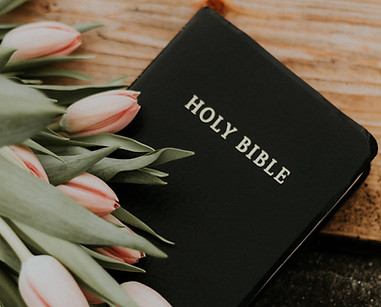 Image by Priscilla Du Preez