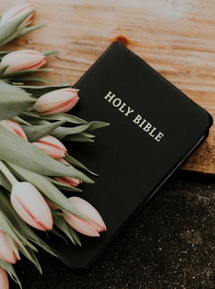 Image by Priscilla Du Preez