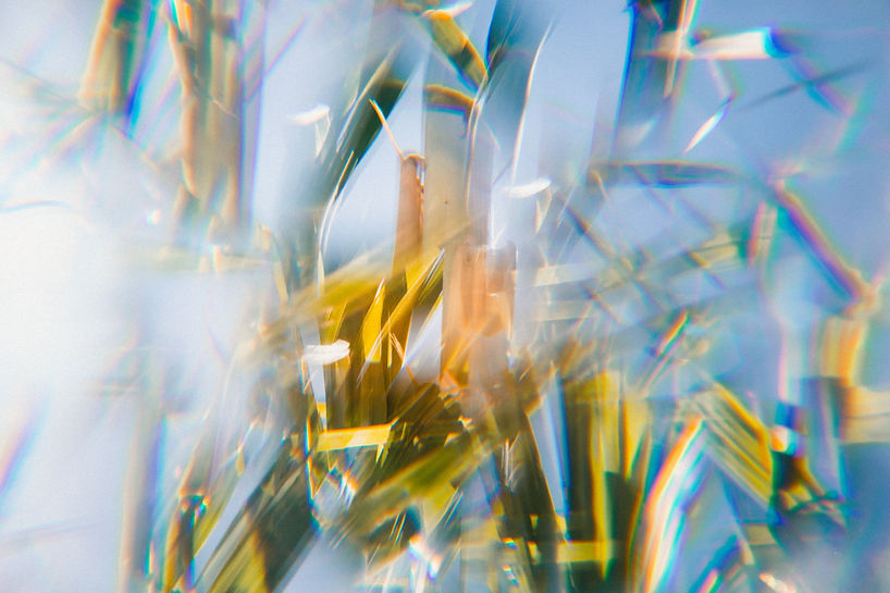 Image by Jakob Owens