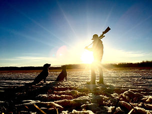 Image by seth schulte