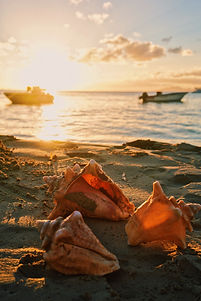 Image by Kizoa Team