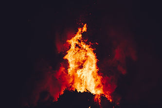 Image by Anna Popović