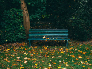 The Bench