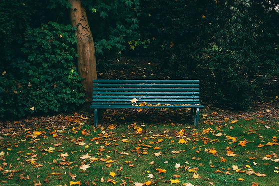 Image by Will Paterson