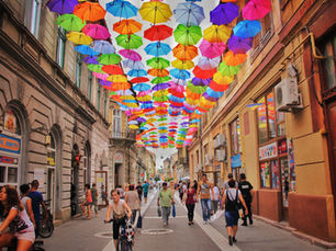 Cultural Assimilation