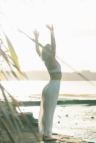 Image by Dane Wetton