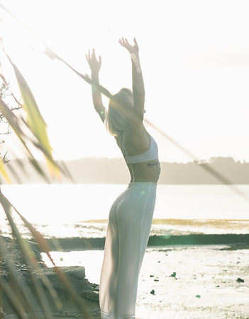 health coach for introverts