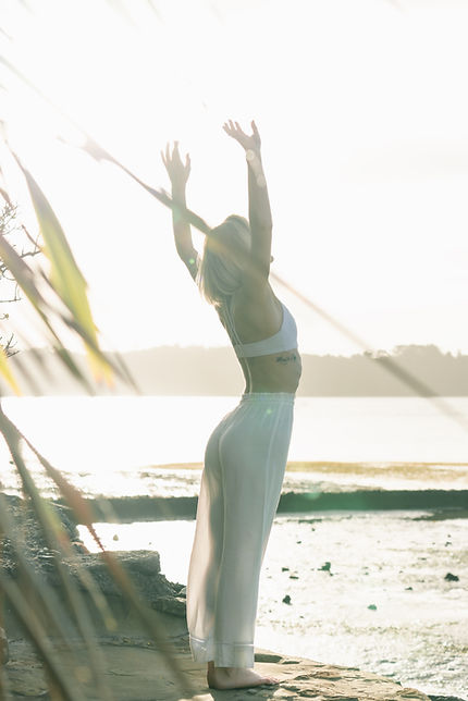 Image by Dane Wetton