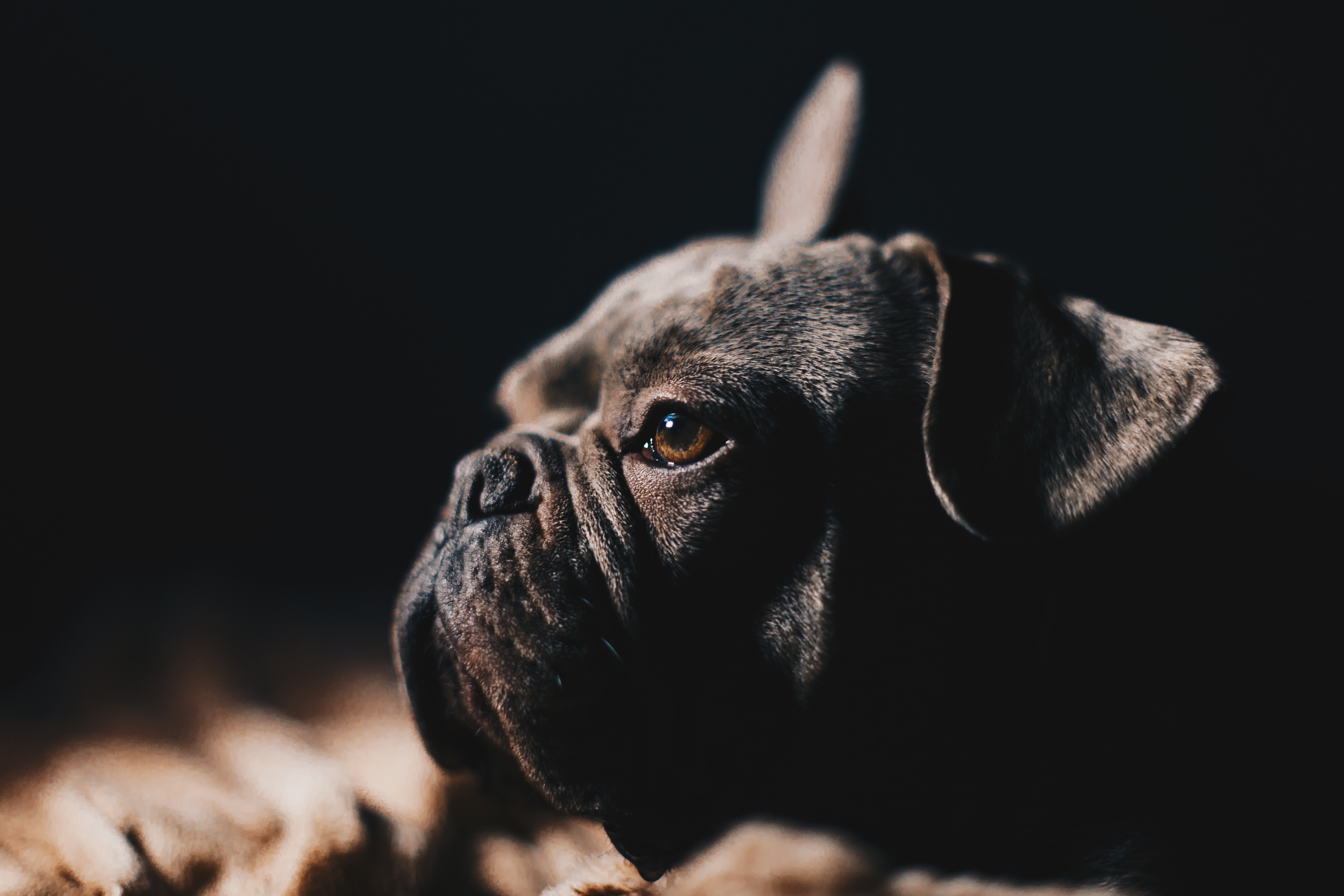Image by Ryan Walton