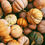 Thumbnail: Pumpkin Spice & Maca Root Superfood Honey