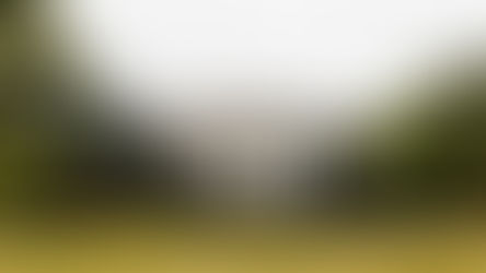 The White House, the official residence and executive office of the President of the United States, viewed from the front with the American flag flying atop the building.