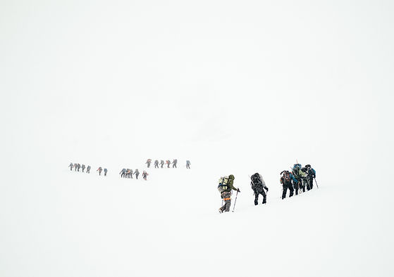Image de Todd Diemer