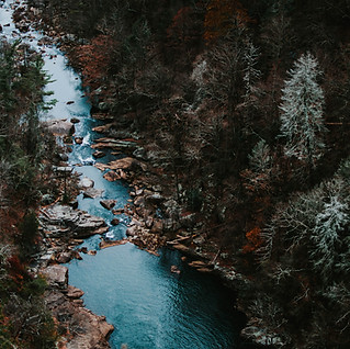 Image by Jessica Furtney