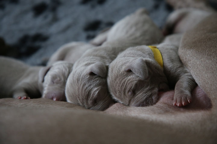 Image by Nathalie SPEHNER