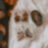 Image de Cat Crawford