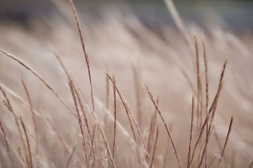 Billede af Aperture Vintage