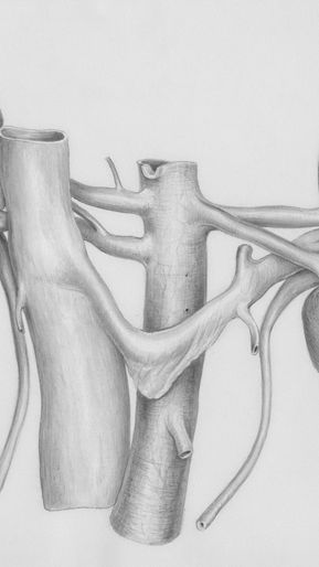 Melhor Dieta para Pessoas com Câncer de Ovário