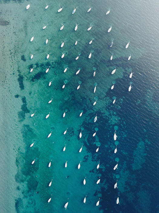 Image by Alessio Lin