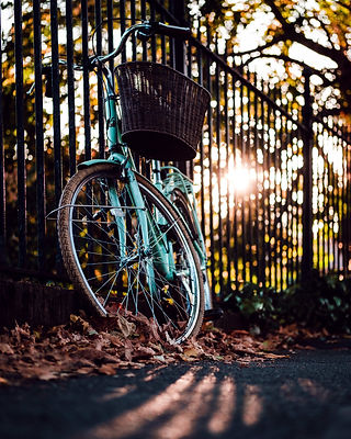 Image by Nikolay Dimitrov