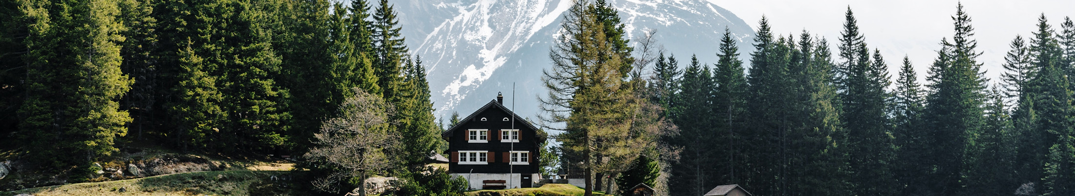 Image by Dino Reichmuth
