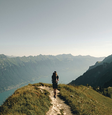 Image by Joel & Jasmin Førestbird