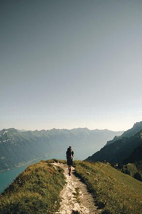 Image by Joel & Jasmin Førestbird