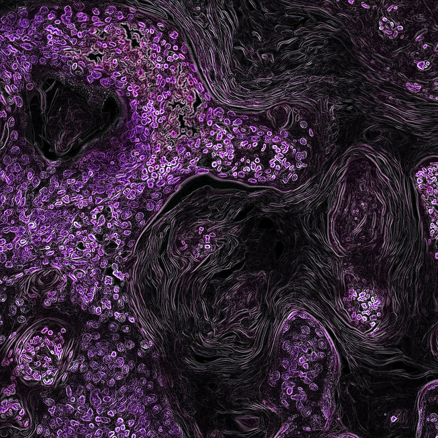 Image by National Cancer Institute