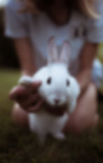 Image by William Daigneault