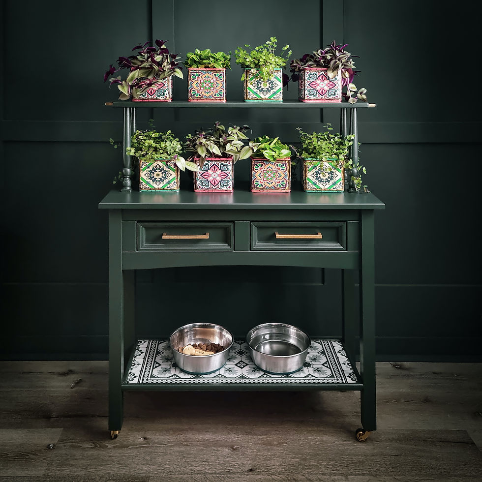 plant pot