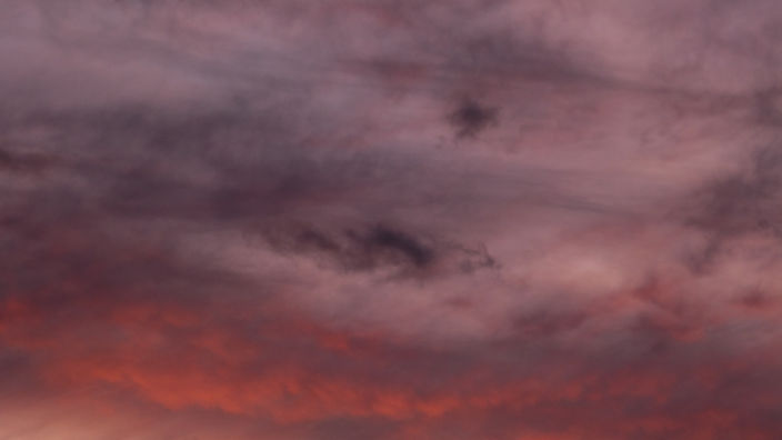 Image by Kym MacKinnon