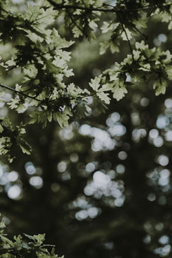 Image by Annie Spratt