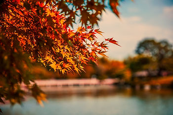 Preparing your home for fall