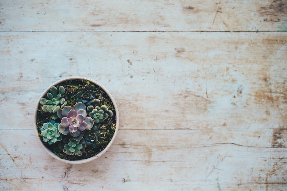 Image by Annie Spratt