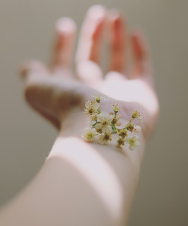 Image by Carolina Heza