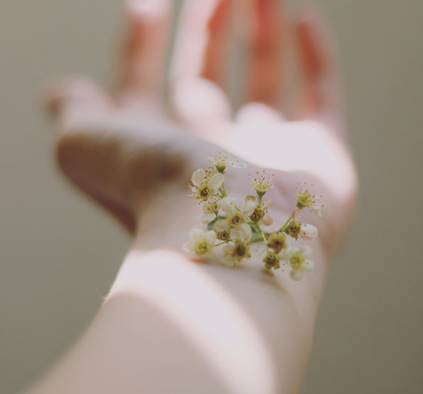 Image by Carolina Heza