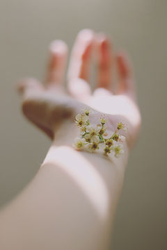 Image by Carolina Heza