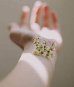 Image by Carolina Heza