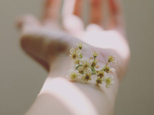 איך להתמודד עם אלרגיות באביב?